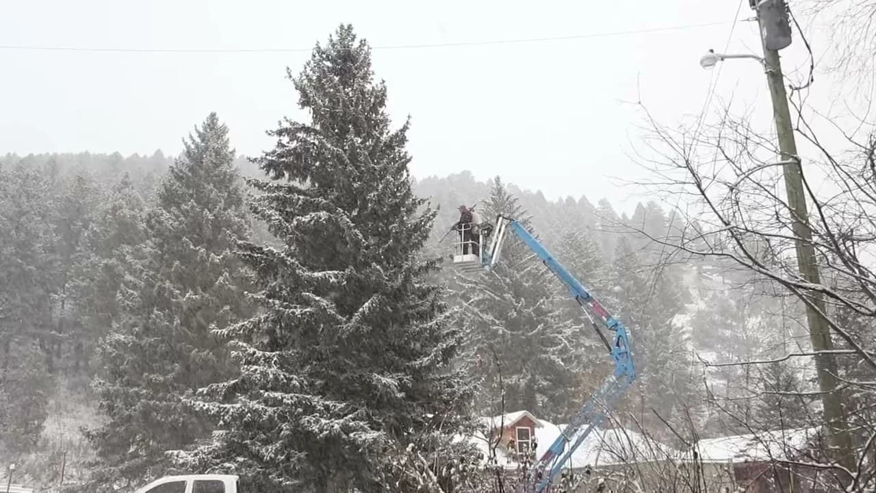 Crew in a bucket lift lighting a tall spruce during a snowfall