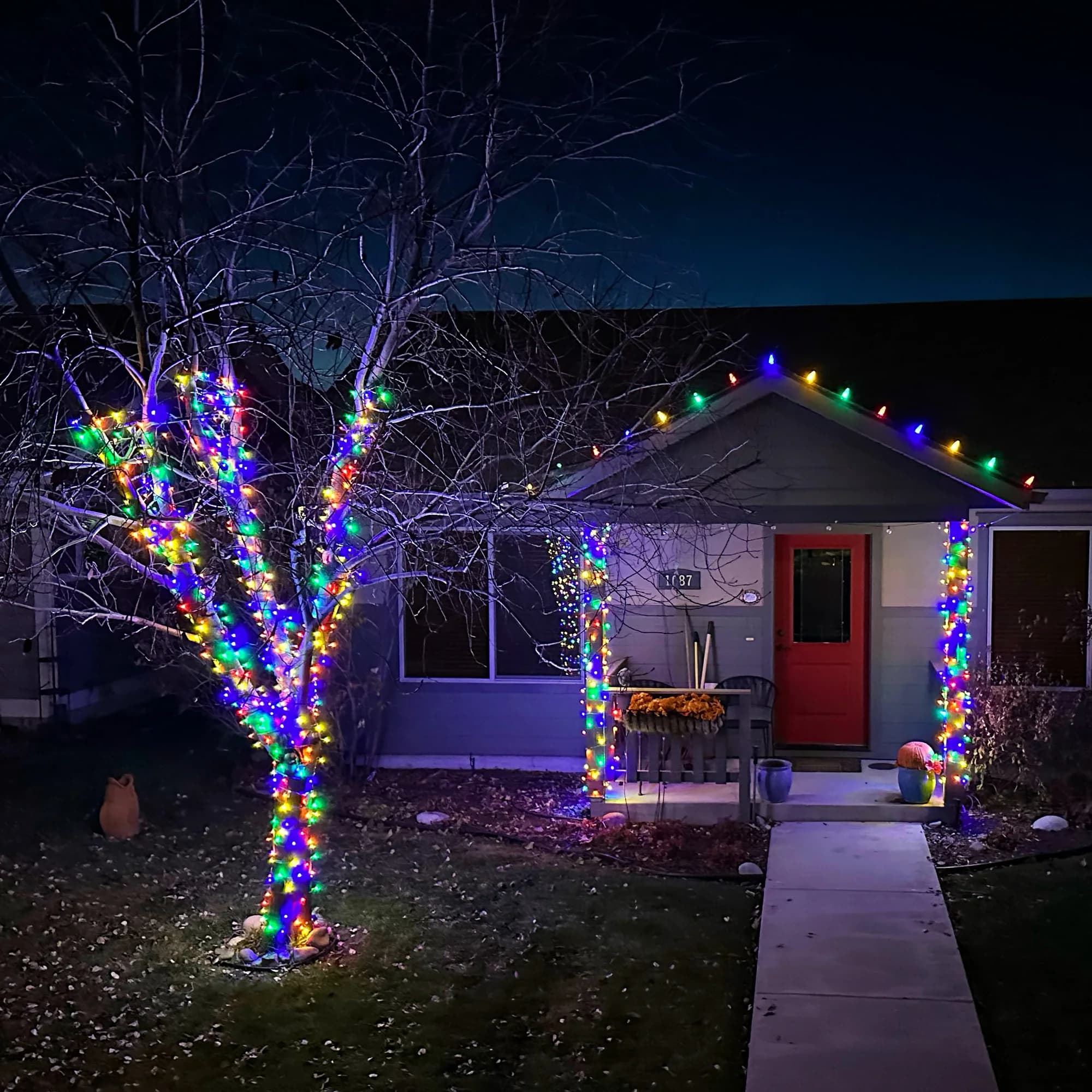 Bare tree wrapped trunk to branch tips in multicolor lights beside a home with a multicolor roofline and wrapped porch posts